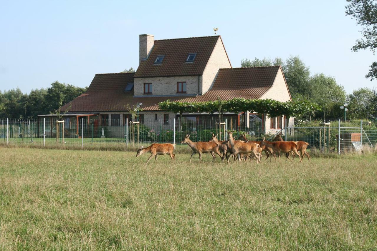 't Leeg Huys Villa Lo-Reninge Buitenkant foto